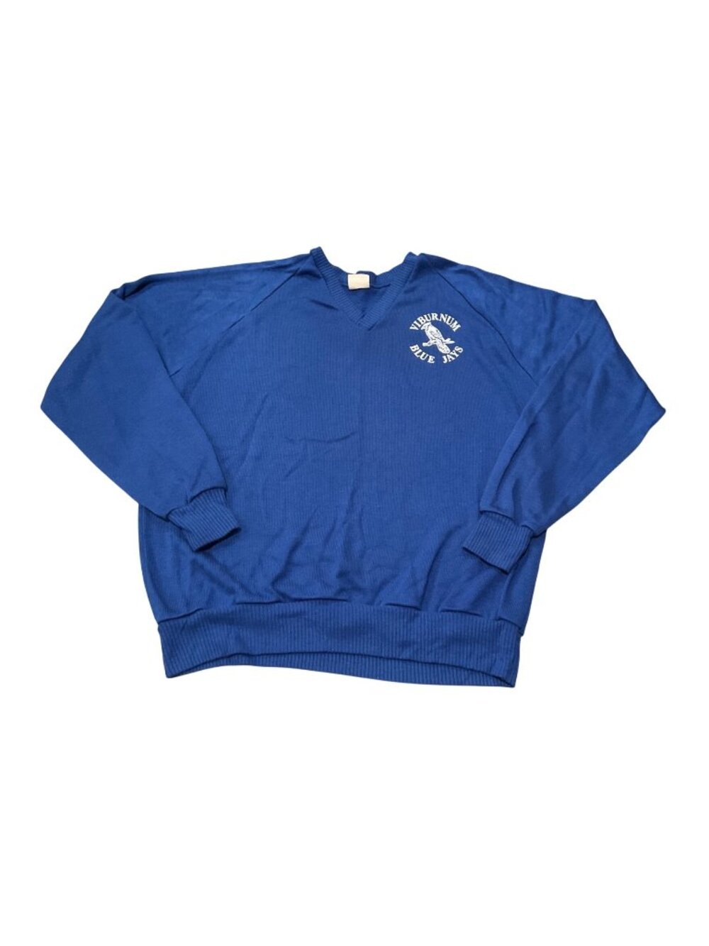 Vintage Dodger Sportswear Viburnum Missouri Blue Jays Sweater in Blue